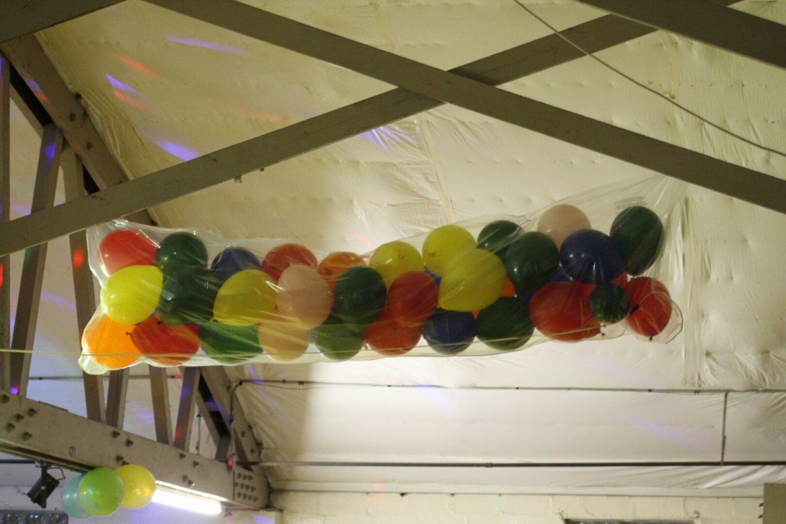 Colorful balloons contained in a large plastic bag